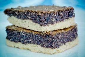 poppy-seed cake on a plate