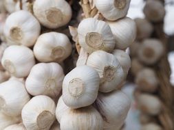 white garlic as the main ingredient