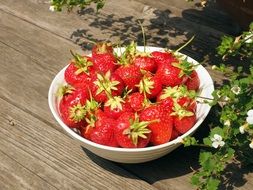 bowl of fresh juicy strawberries