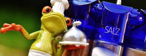 toy frog chef in front of spice jars