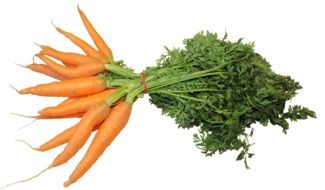 bunch of ripe carrots with green tops