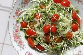 vegetarian salad with tomatoes