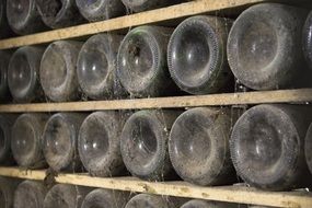 dusty wine bottles on shelves