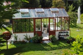 Greenhouse in summer