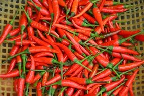 red chili peppers on a grid