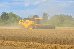 combine harvester on the grain field