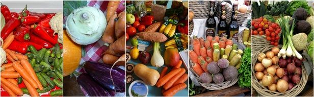 banner with harvested fresh vegetables