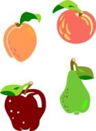 drawn peach, apple, apricot and pear