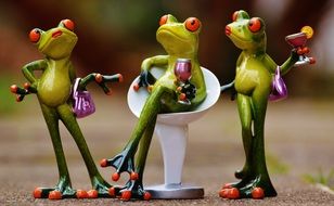 Funny Party frogs Drink chat