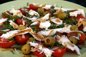 salad with mozzarella, tomatoes and olives