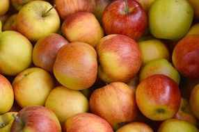 farmers local market Apple Fruit