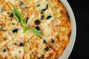 pizza on a white plate close up