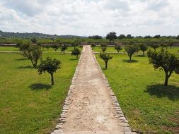 raixa gardens in Mallorca
