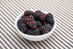 Fresh juicy Blackberries