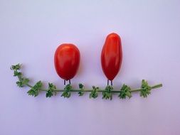 two red tomatoes and a sprig of basil