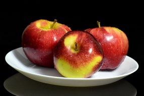 still life with apples