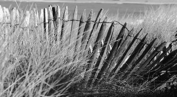 Seaside near the ocean