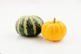 yellow green stripes pumpkin on white