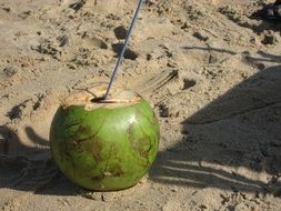 Cocktail Exotic in a coconut on the beach