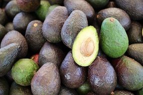 Avocados Fruit