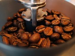 coffee beans in a coffee grinder