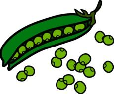 painted pea pod