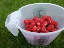 picnic, fresh raspberry