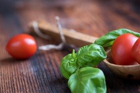 small red tomatoes and greens for salad