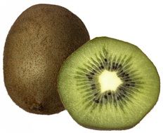 Kiwi Fresh