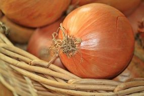 onions in the husk