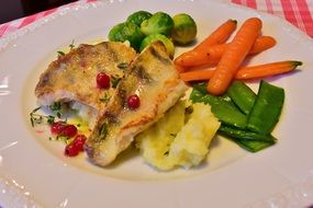 Pike perch with the vegetables