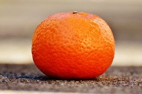 isolated Mandarin Fruit Citrus