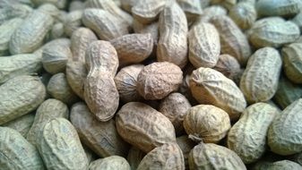 inshell peanuts