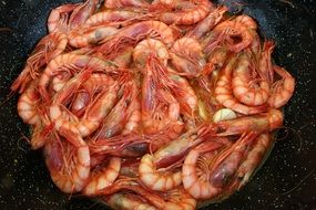 prawns with garlic in a pan