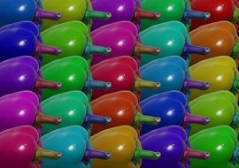 variety of colorful peppers