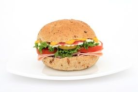 delicious hamburger on white dish