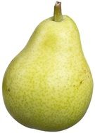 fresh green Bartlett Pear