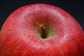 isolated fresh red apple fruit