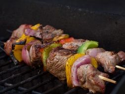Skewer Meat Grill