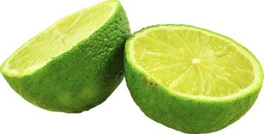 cut into halves lime close-up on white background