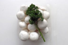 champignons and parsley