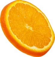 isolated Fruit Orange Slice