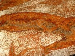 Baked crispy bread close-up