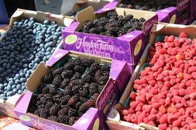 variety of berries on the market