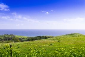 Cornwall Britain Landscape