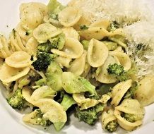 pasta with broccoli