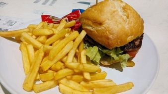 Burger with french fries