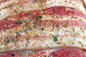 Closeup picture of delicious Bacon