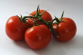 four red cherry tomatoes