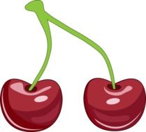 drawn two cherries on a white background